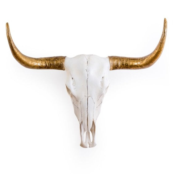 Extra Large Bison Skull With Gold Horns Wall Decoration