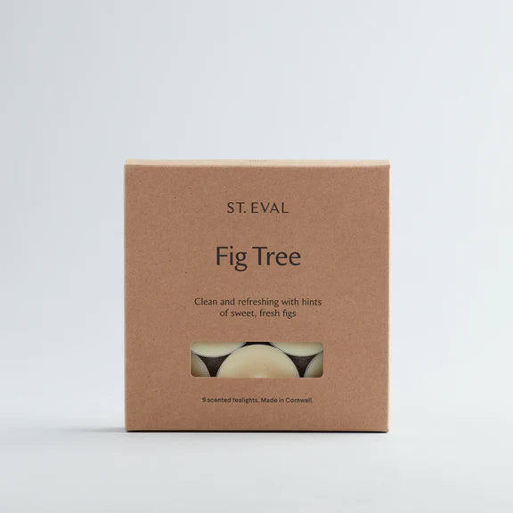Fig Tree Tealights, pack of 9 St Eval