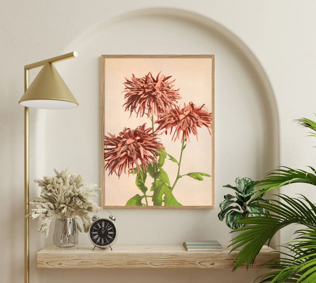 Pink Chrysanthemum Framed Print Oak on Display