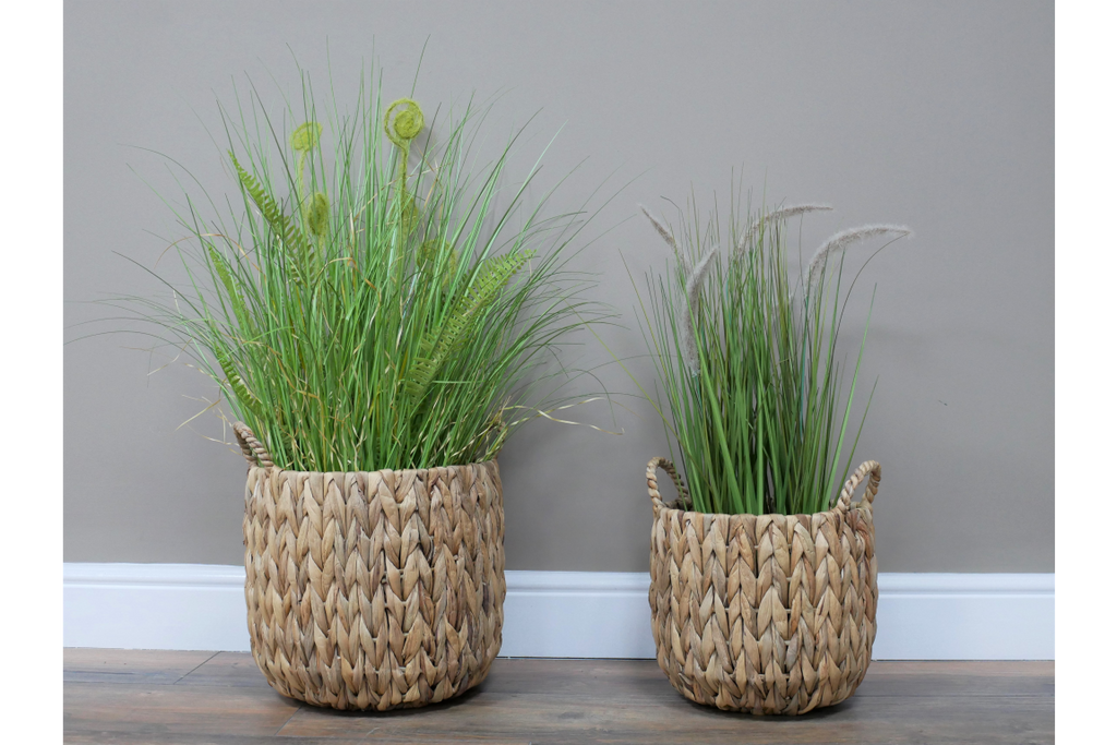 Two Handle Natural Woven Basket / Planter small and large used as planters