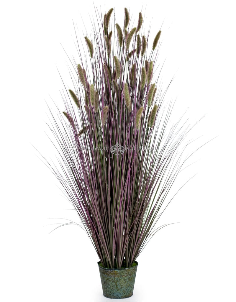 Ornamental grasses in galvanised pot, shades of purple
