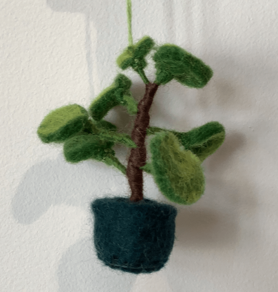 Handmade Felt Biodegradable Hanging Mini Plants Ficus