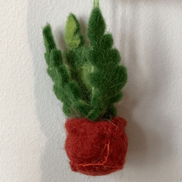 Handmade Felt Biodegradable Hanging Mini Plants Fern