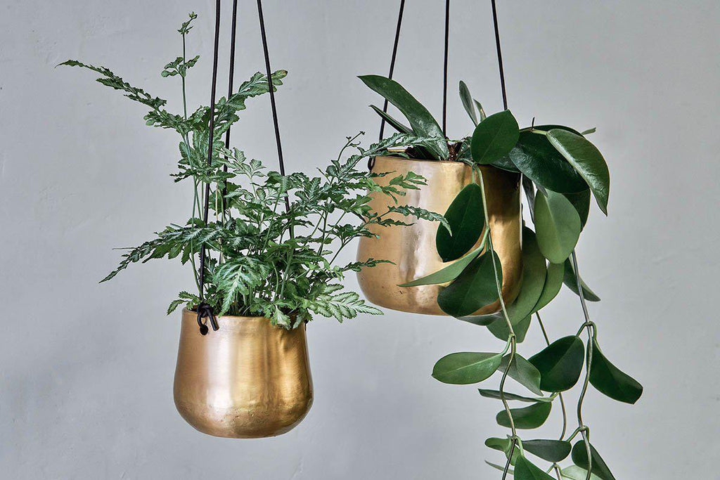 Atsu Brass Hanging Planter Display of Small and Large