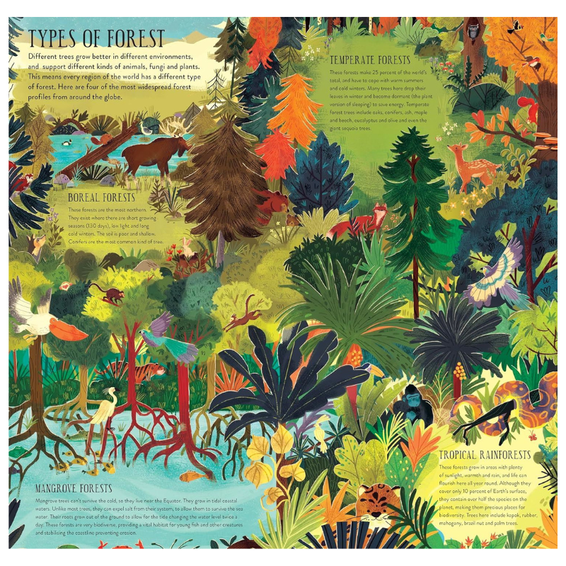 Build A Tree: Make & Play Book , Forrester, Philippa & Castro, Natalia Rojas, Uneeka