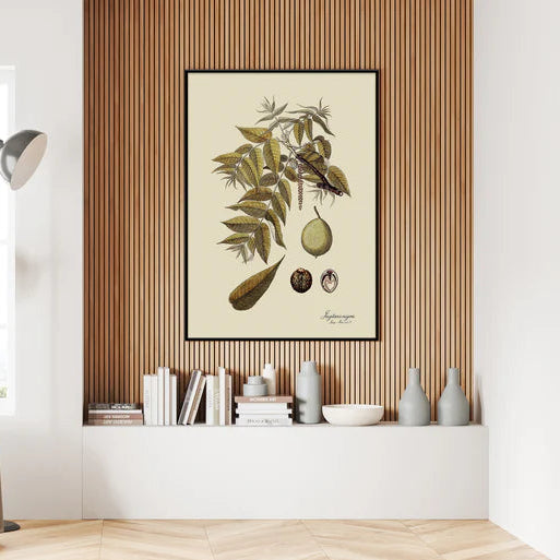 Juglans Nigra Framed Art Print - BFP 100x140 3111 - Uneeka