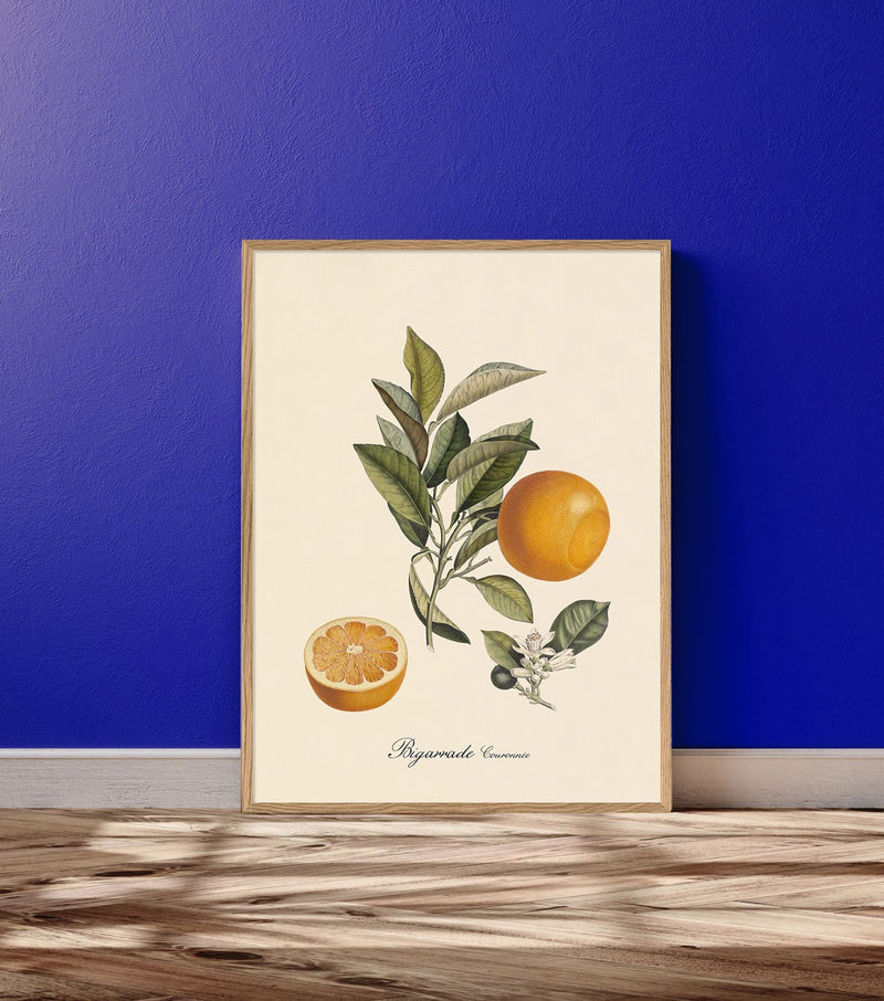 Bigarrade Oranges Print