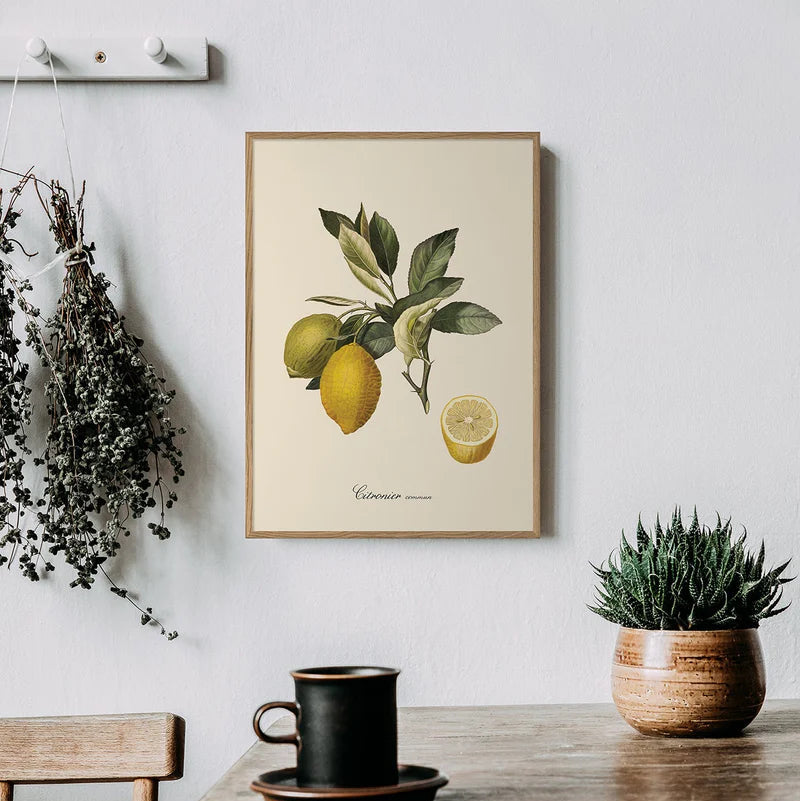 Lemon Framed Art Print - OFP 100x140 3608 - Uneeka