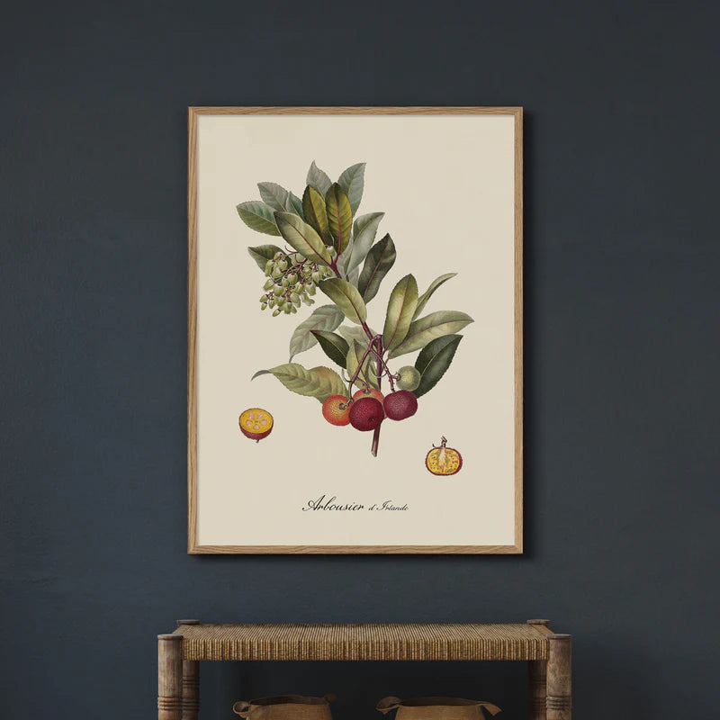 Arbousier d'Irlande Framed Art Print - OFP 100x140 3609 - Uneeka