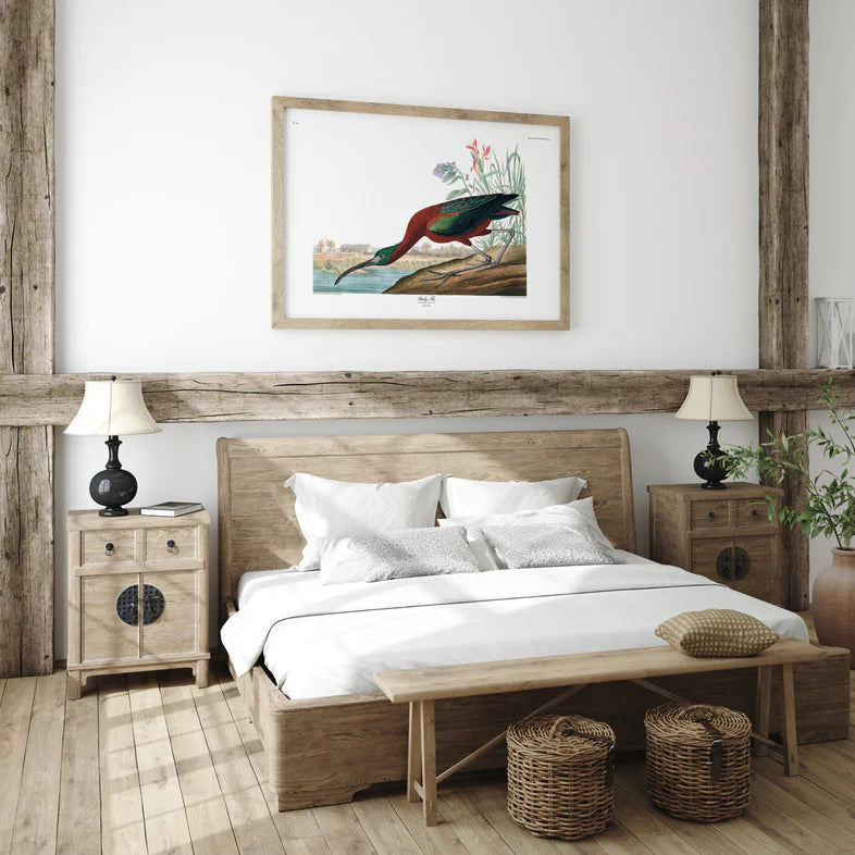 Glossy Ibis Framed Art Print - OFP 100x140 6507 - Uneeka