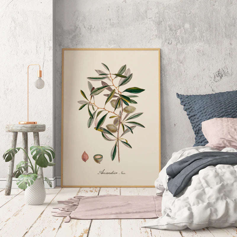 Almond Branch Botanical Framed Art Print - Oak Frame - Vintage Art at Uneeka Lifestyle