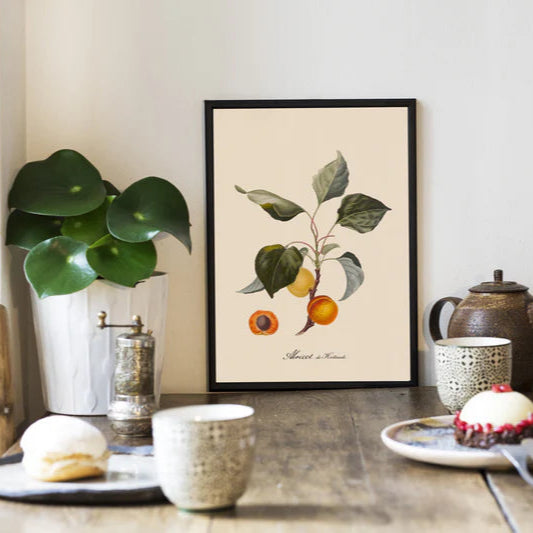 Apricots Framed Art Print - Black Frame Lifestyle  - Uneeka