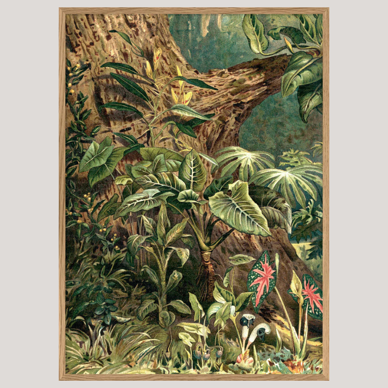 Aracae Lillies Jungle Framed Art Print (LEFT) - OFG 50x70 2929L - Uneeka