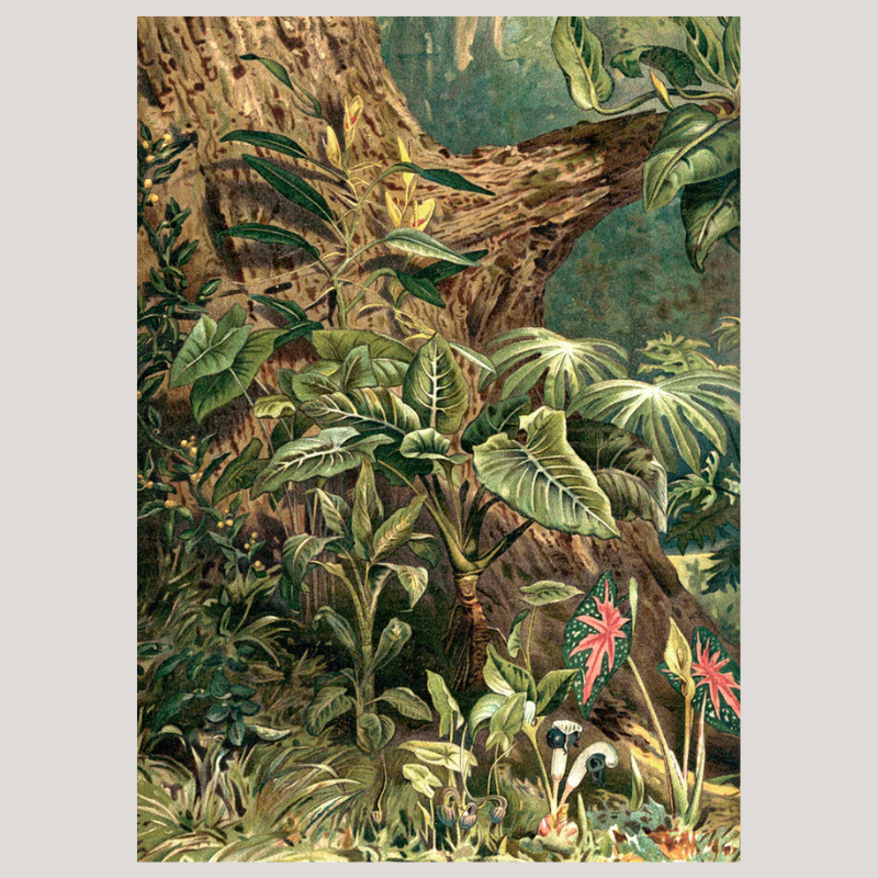Aracae Lillies Jungle Framed Art Print (LEFT) - OFG 50x70 2929L - Uneeka