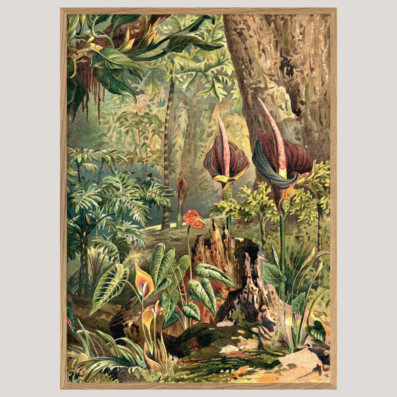 Aracae Lillies Jungle Framed Art Print (RIGHT) - OFG 50x70 2929R - Uneeka