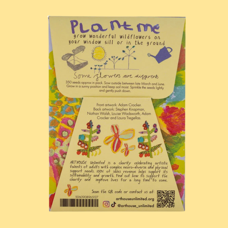 Arthouse Packet Of Wildflower Seeds - SEEDS008 - Uneeka