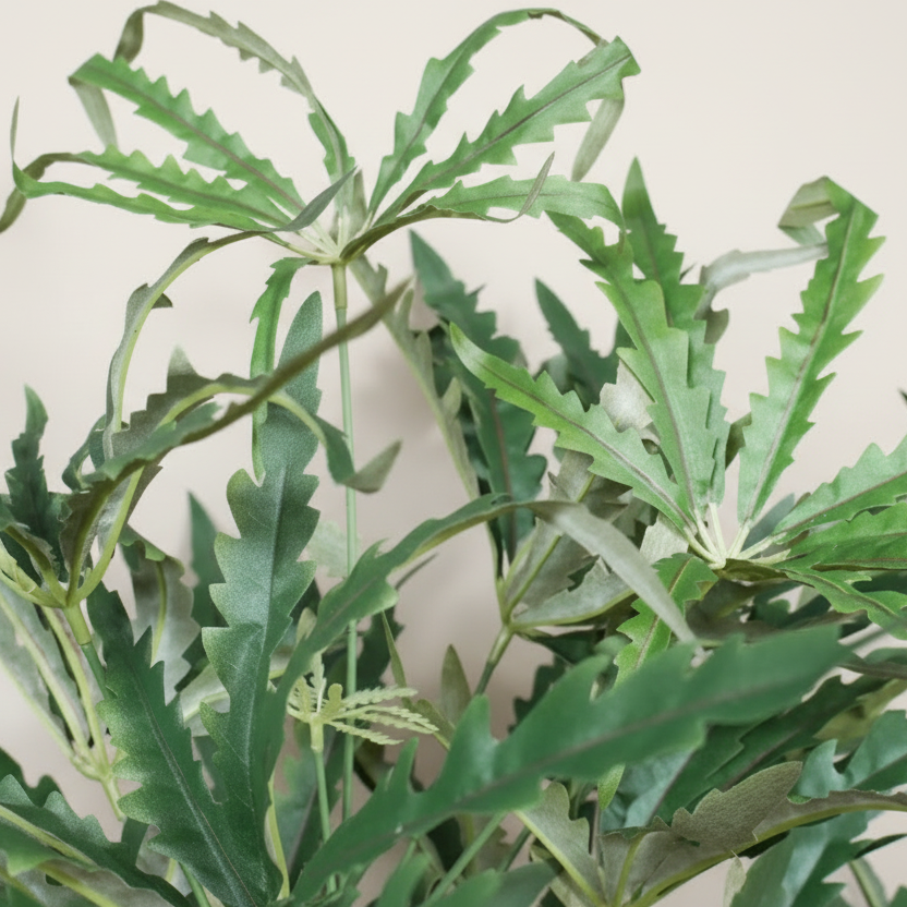 Artificial Aralia Plant In Black Pot - 7978 - Uneeka