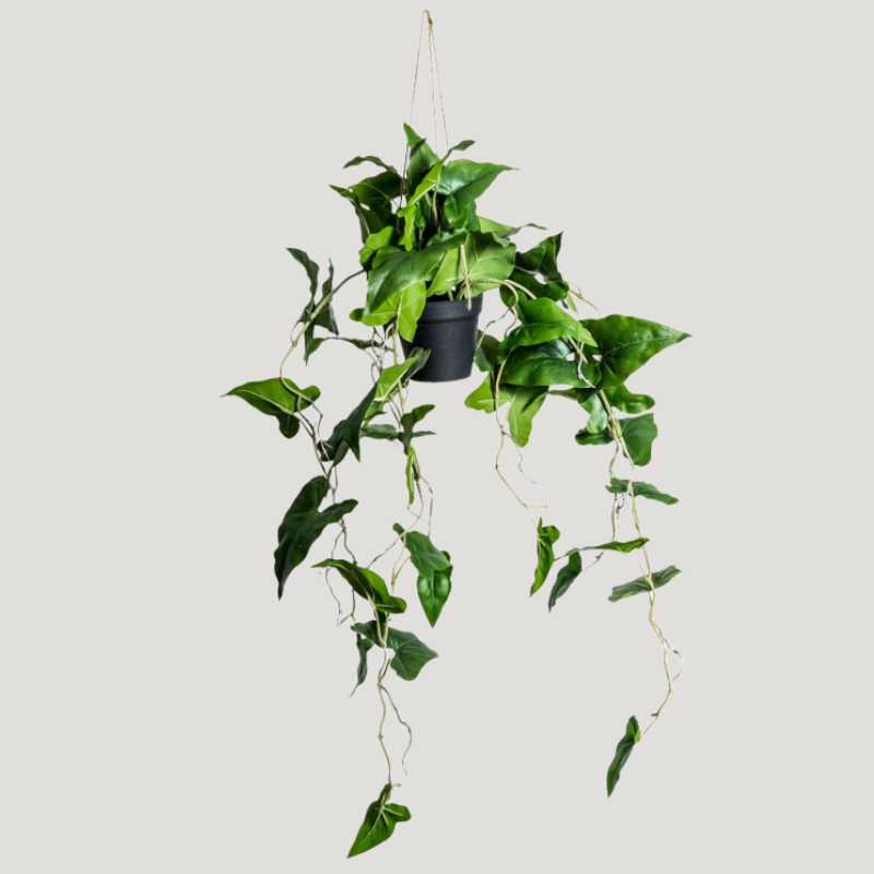 Artificial Hanging Araceae Vine in Pot - AF93 - Uneeka