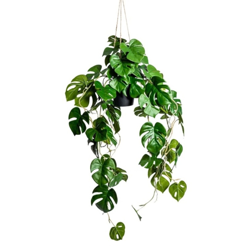 Artificial Hanging Monstera In Black Pot - Uneeka