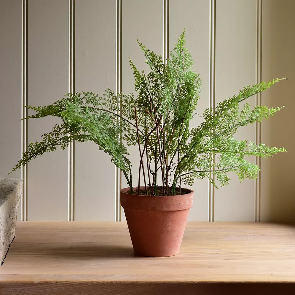 Artificial Lace Fern in Brown Pot - PG26139 - Uneeka