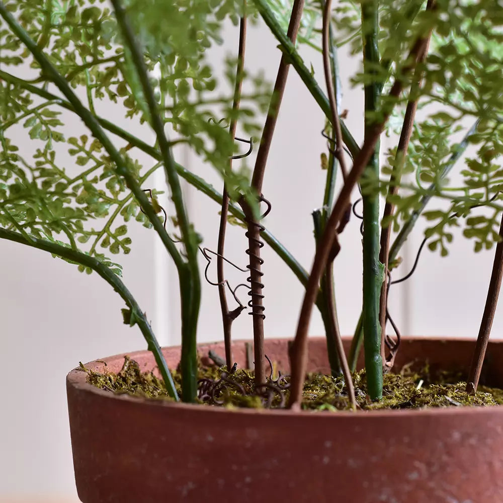 Artificial Lace Fern in Brown Pot - PG26139 - Uneeka