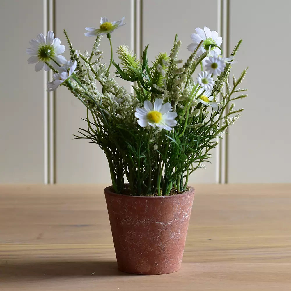Artificial White Wildflowers in Brown Pot - PG26134 - Uneeka