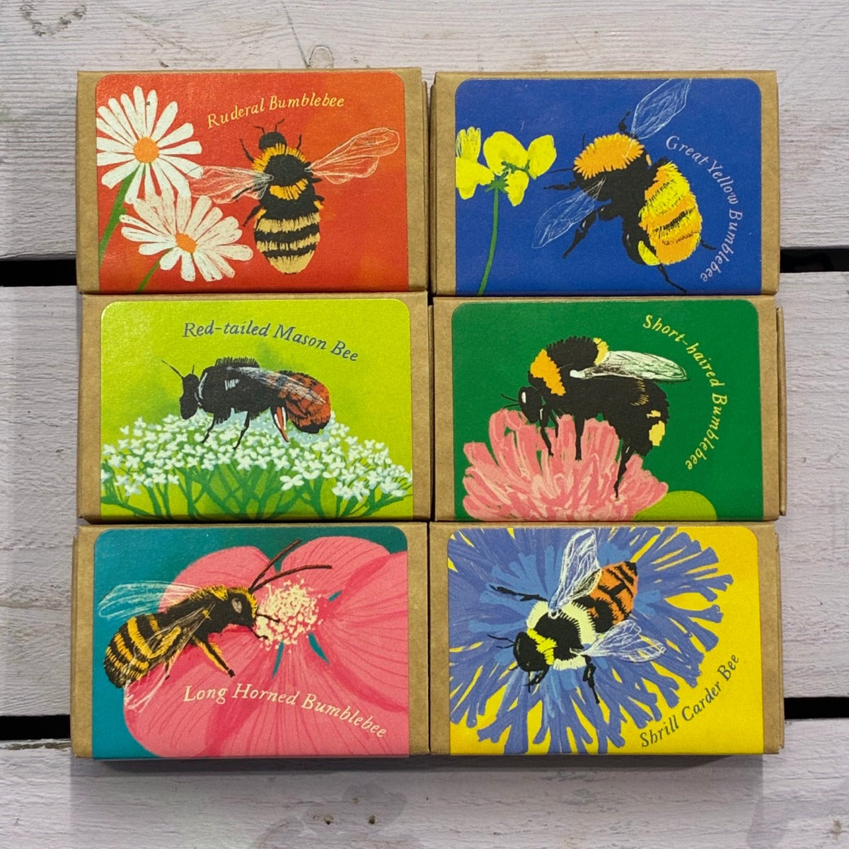 Set Of 6 Bee Friendly Wildflower Seed Mixes - BEE COLLECTION - Uneeka