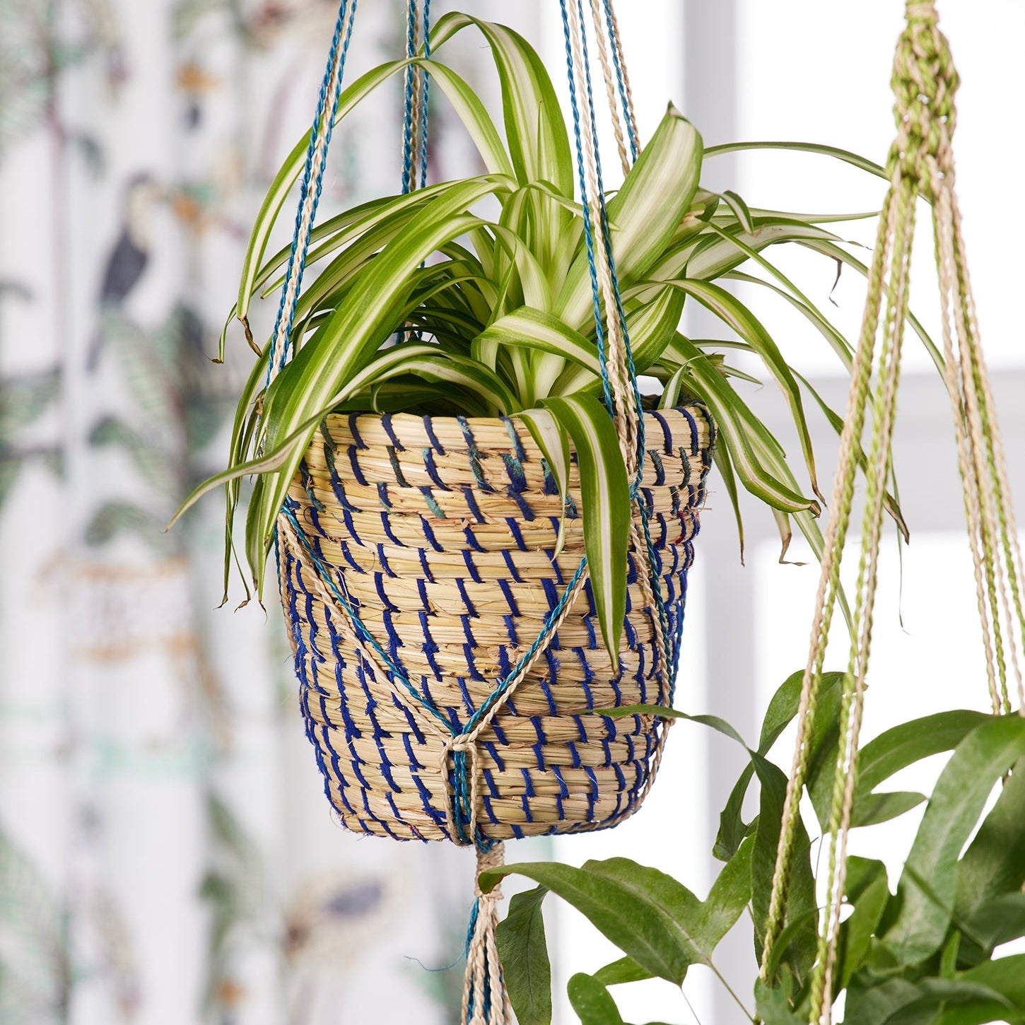 Brightly Coloured Jute Hanging Planter - Blue - Uneeka