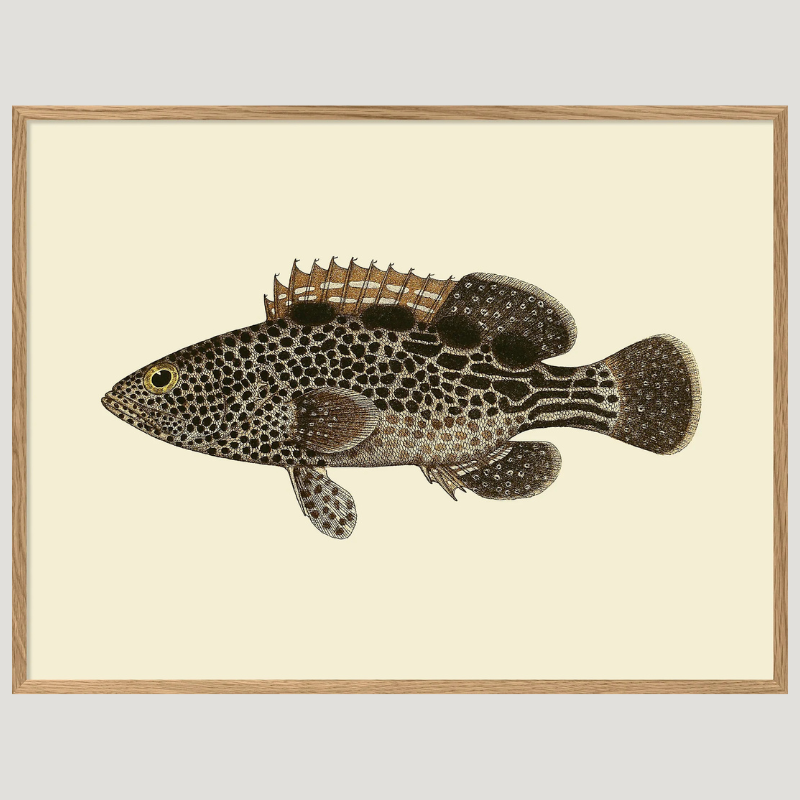 Brown Dotted Fish Framed Art Print - OFG 30x40 4001 - Uneeka