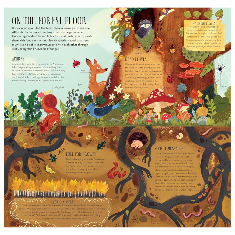 Build A Tree: Make & Play Book , Forrester, Philippa & Castro, Natalia Rojas, Uneeka 9781836005292