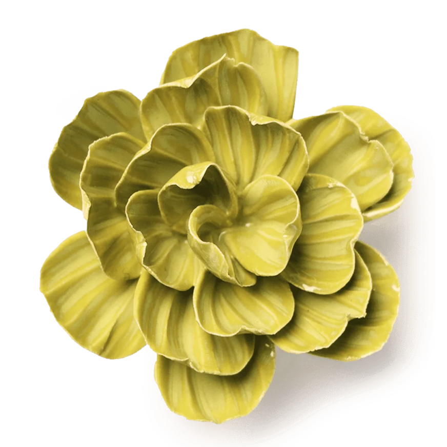Chartreuse Primrose Flower - Uneeka