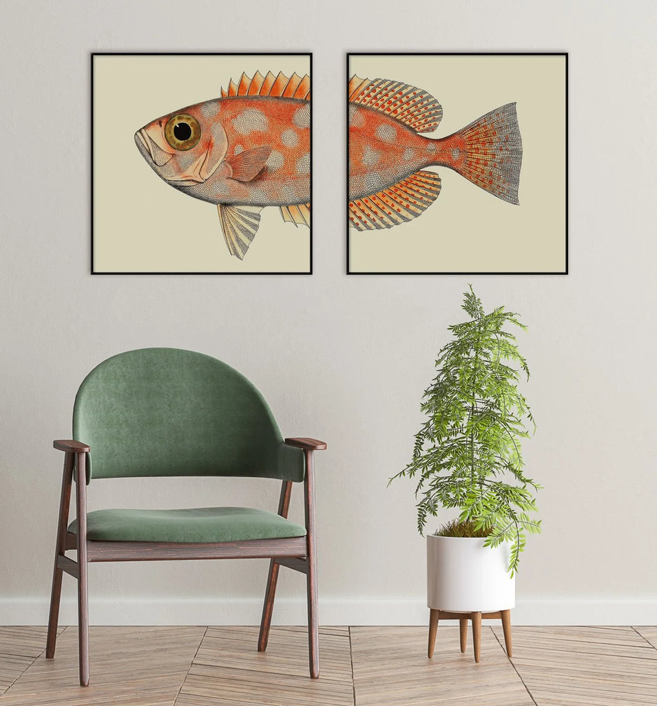 Dotted Orange Fish Head Framed Print Display 2 30x30 61x61
