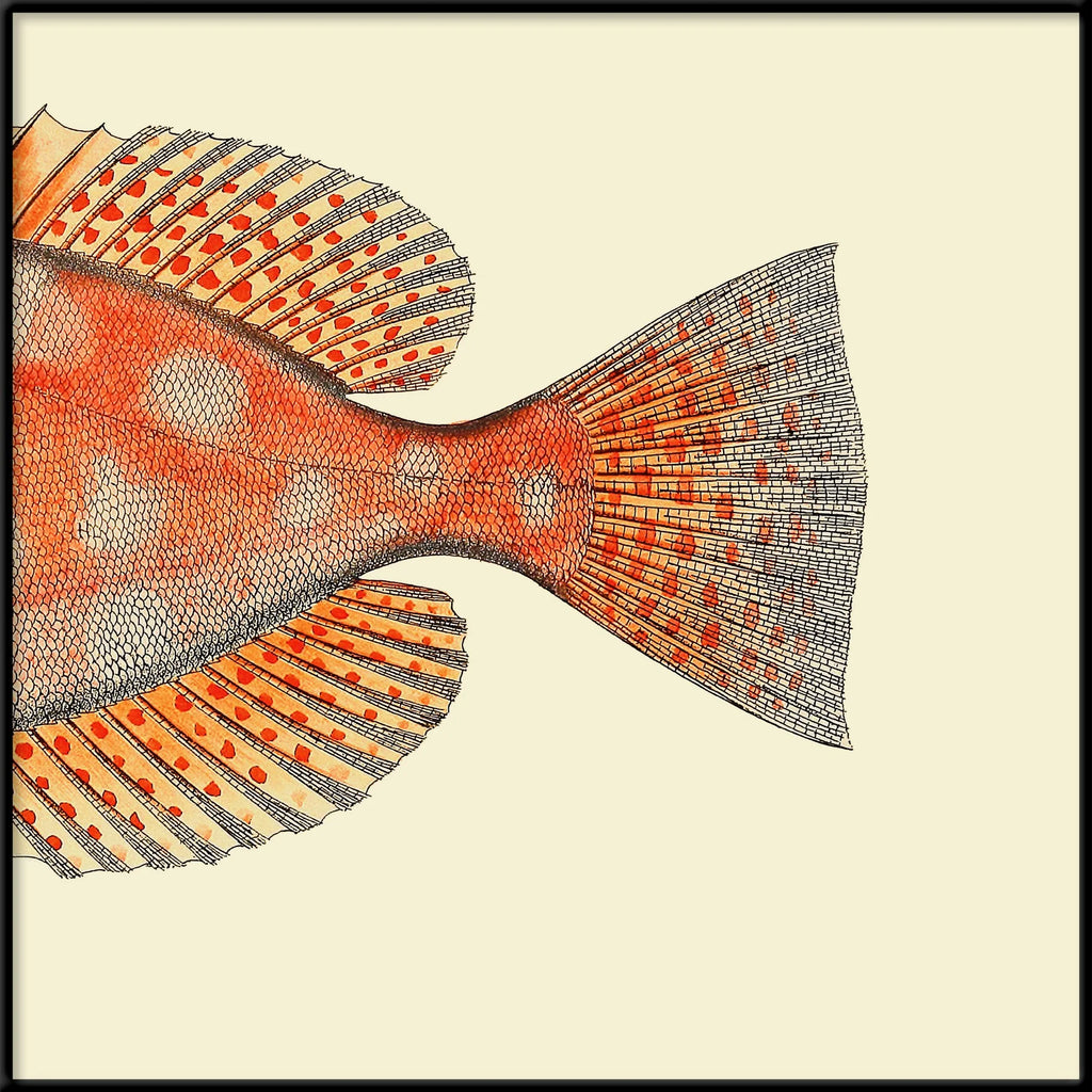 Dotted Orange Fish Tail Framed Print Black Frame 30x30 61x61
