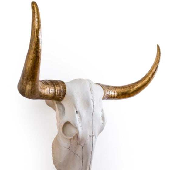 Extra Large Bison Skull With Gold Horns Wall Decoration side view