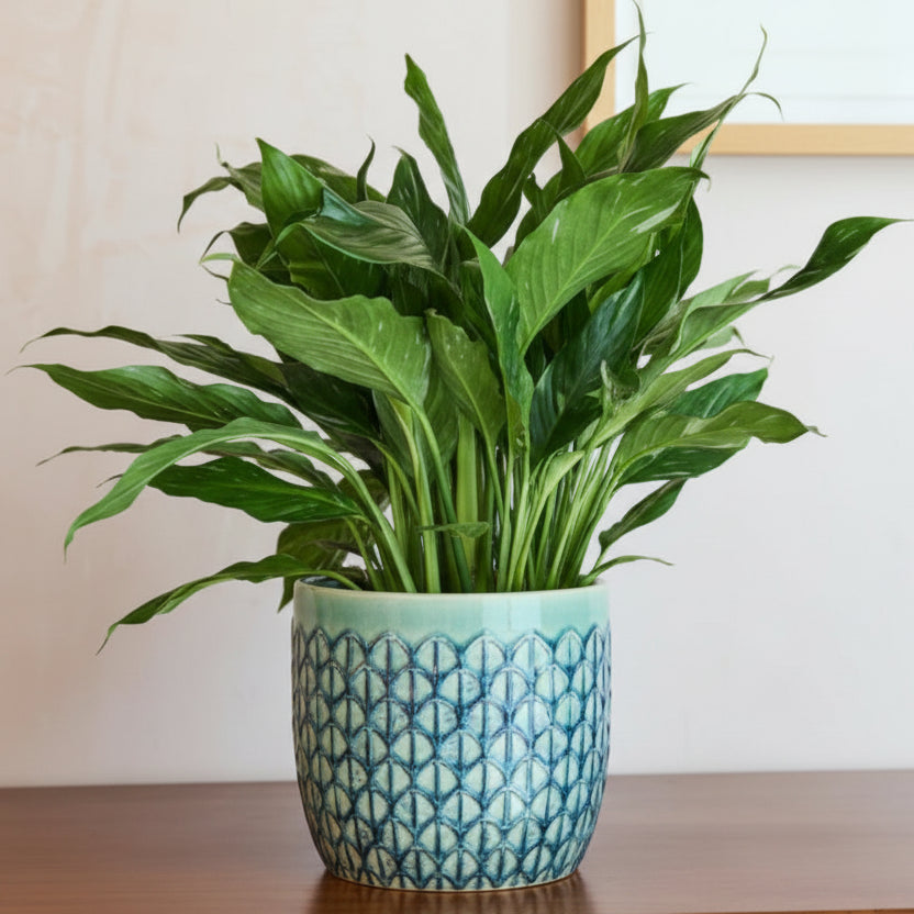 Blue & Green Geometric Plant Pots - GCC/GEOGN13 - Uneeka