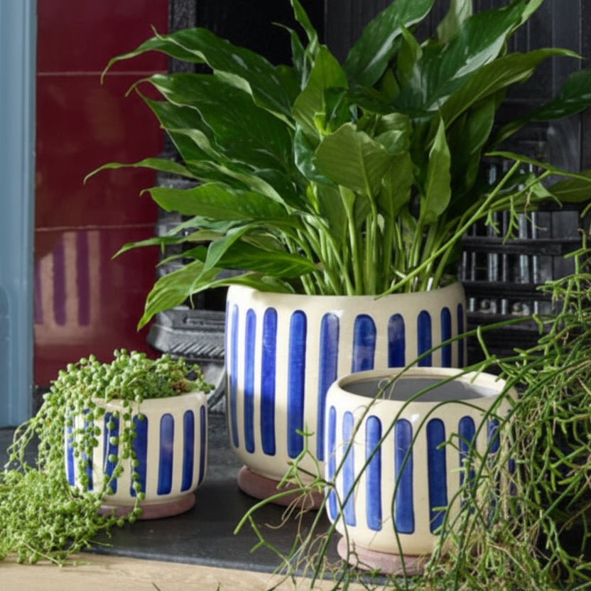Blue Bold Stripe Plant Pots - GCC/STRIPEBL10 - Uneeka