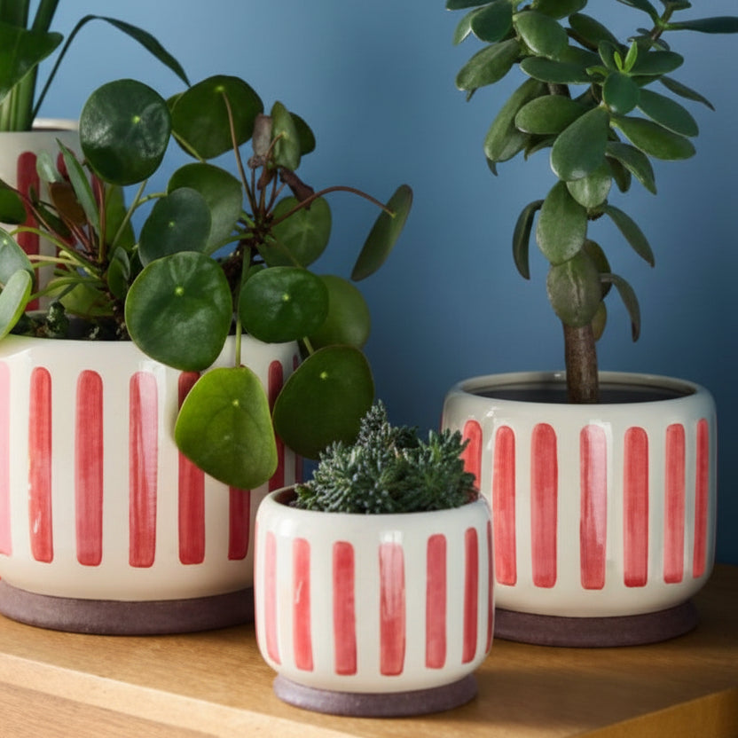 Red Bold Stripe Plant Pots - GCC/STRIPERED10 - Uneeka