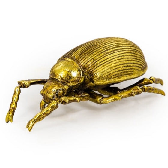 Large Gold Beetle Wall Decor - Style 2