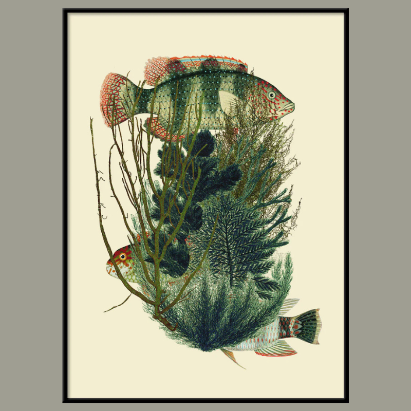 Green Fish with Algae Framed Art Print - Black Frame - Uneeka