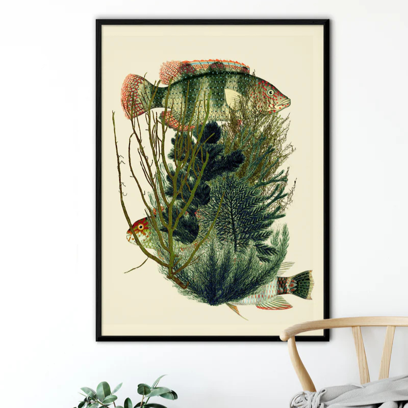 Green Fish with Algae Framed Art Print - Black Frame Lifestyle - Uneeka