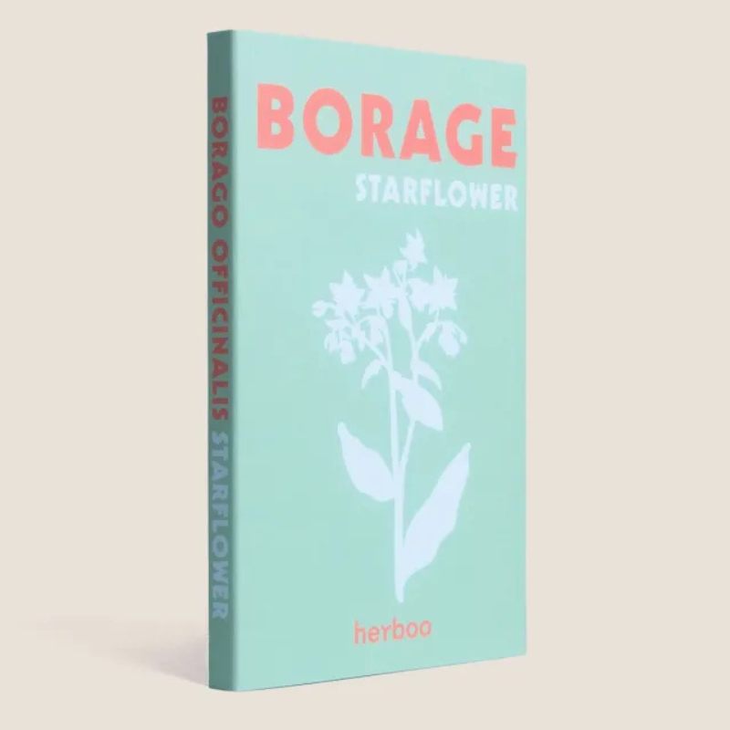 Herboo Seed Pack Borage - Borage Seeds - Uneeka