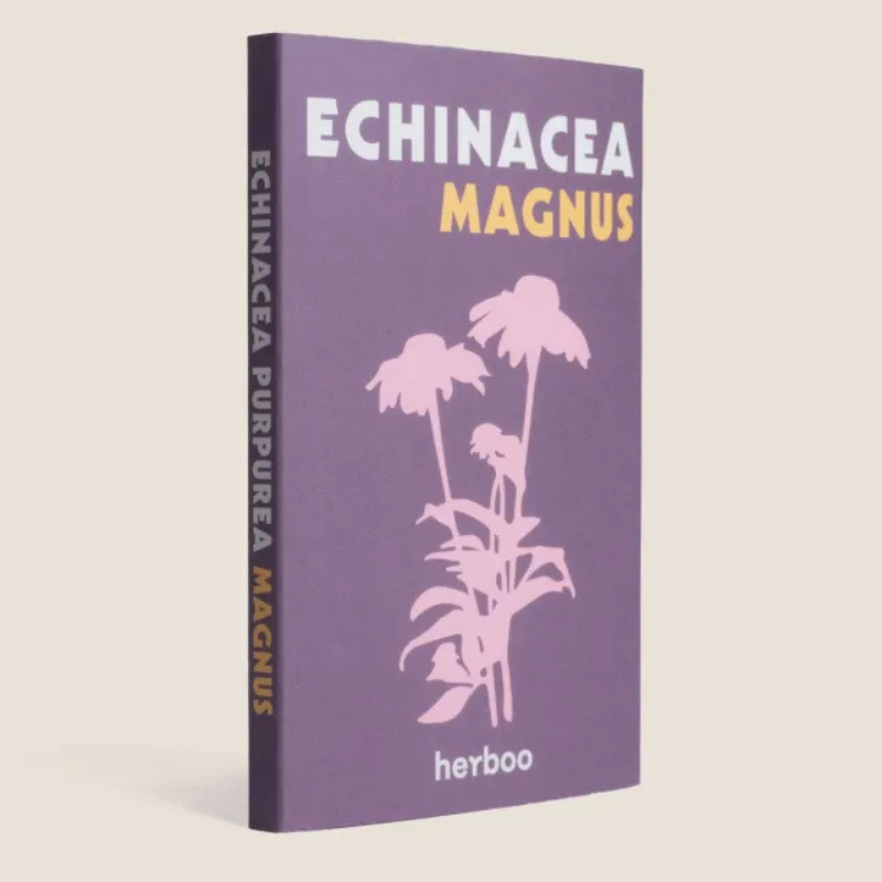Herboo Seed Pack Echinacea - Echinacea 'Magnus' Seeds - Uneeka