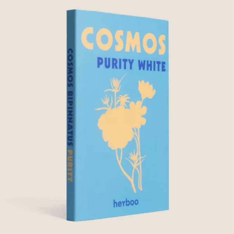 Herboo Seed Pack Purity White Cosmos - Cosmos 'Purity White' Seeds - Uneeka