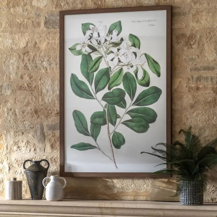 Illustrated Foliage & Blooms Framed Art Print - 5056693581987 - Uneeka