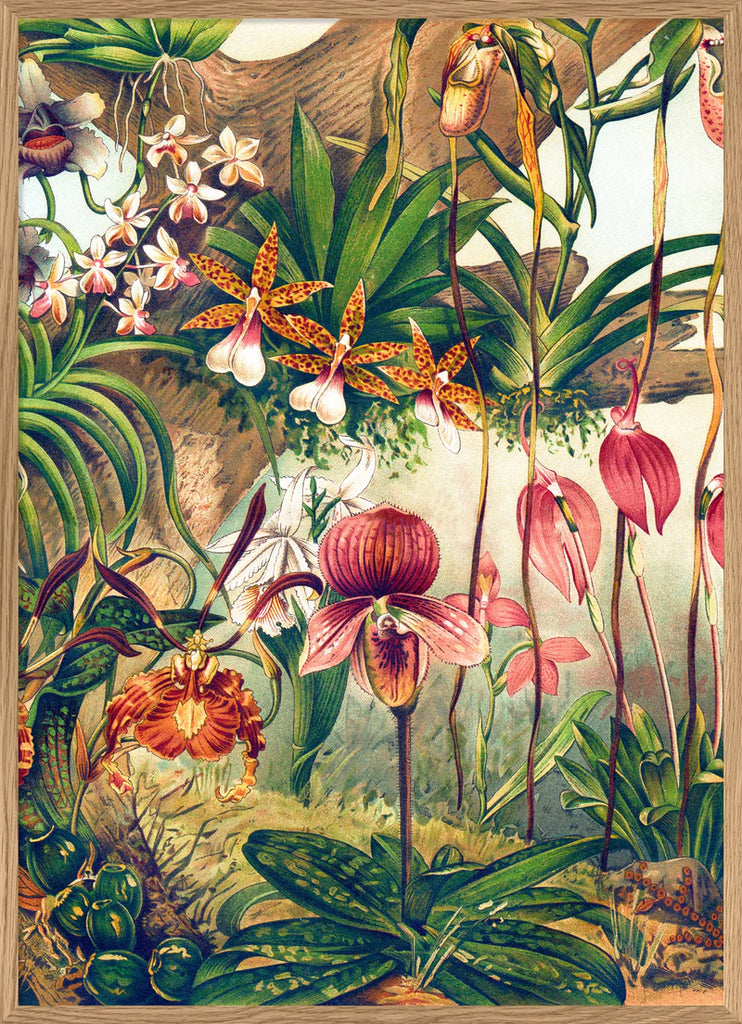 Jungle Orchids Framed Print Oak Frame