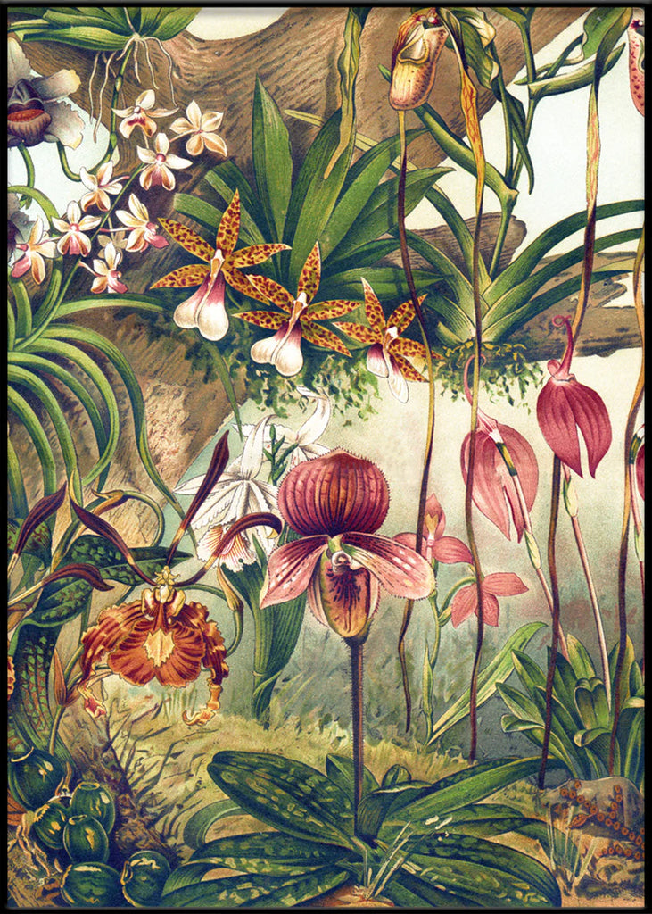 Jungle Orchids Framed Print Black Frame