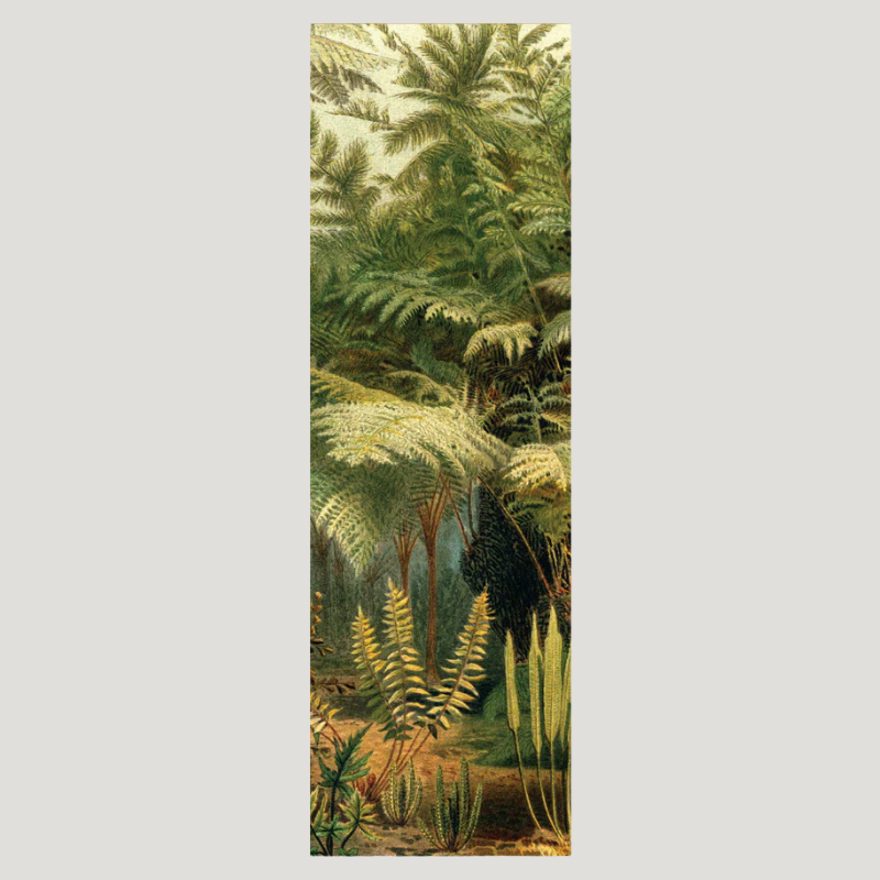 Jungle Ferns Framed Slim Art Print - No Frame - Uneeka