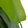 Large Artificial Birds of Paradise Tree - AF125 - Uneeka
