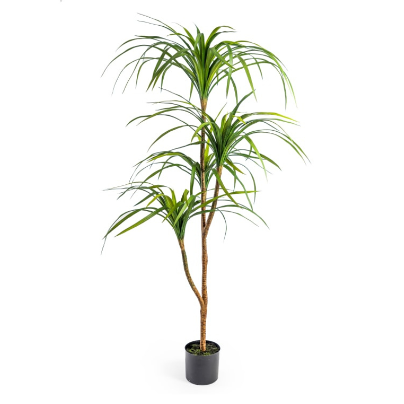 Large Artificial Marginata Palm Tree - Uneeka