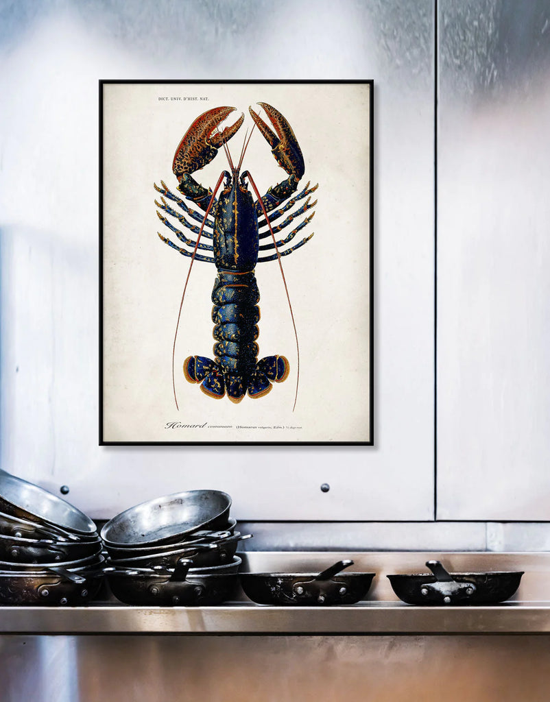 Lobster Framed Art Print Black Frame Dispaly